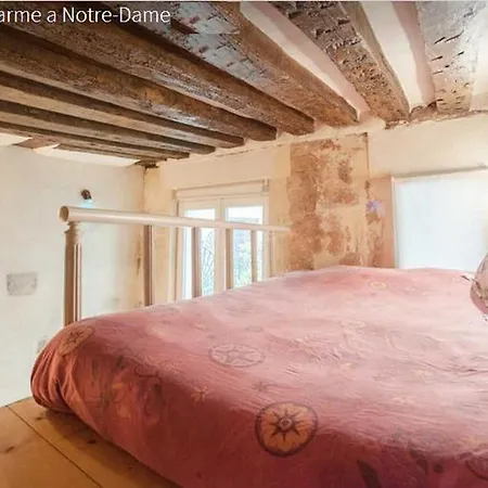 Apartament Frederic Sauton Studio Notre-dame *