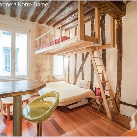 Frederic Sauton Studio Notre-dame *