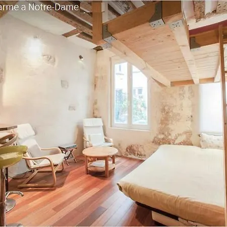 Frederic Sauton Studio Notre-dame Apartament *