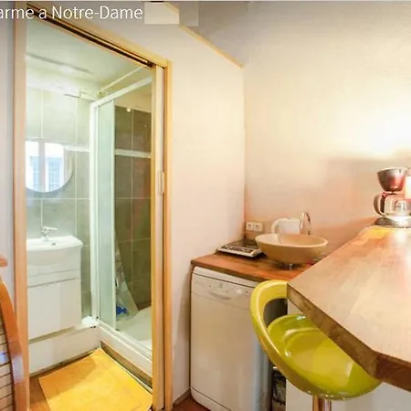 Apartament Frederic Sauton Studio Notre-dame